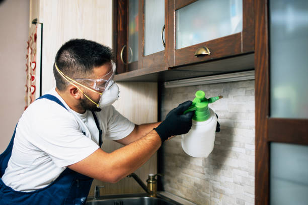 Best Pest Control for Businesses  in Laurel, FL