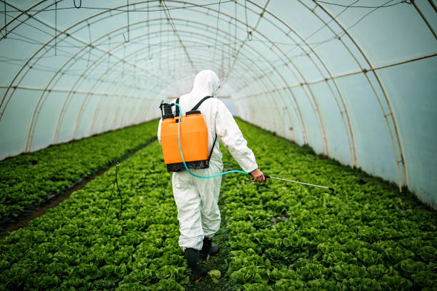 Best Pest Inspection Near Me  in Laurel, FL