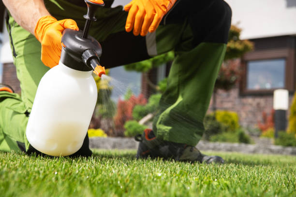 Best Best Pest Control Companies  in Laurel, FL