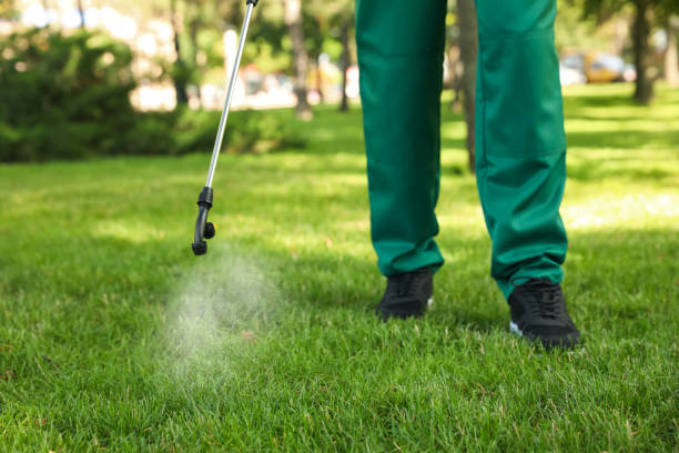 Best Mosquito Control Services  in Laurel, FL