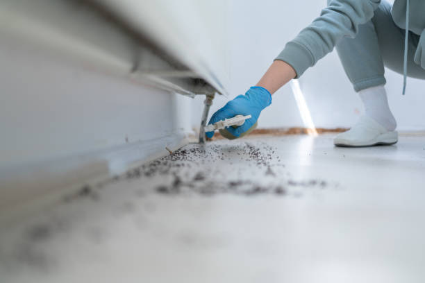 Best Pest Control Treatment  in Laurel, FL